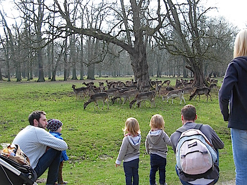 e0357367_1484349.jpg