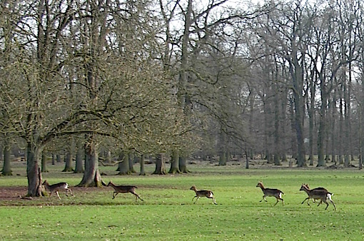 e0357367_223218.jpg