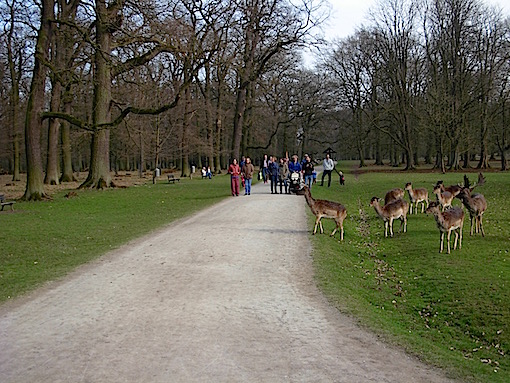 e0357367_252621.jpg