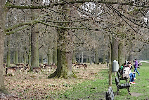 e0357367_262076.jpg