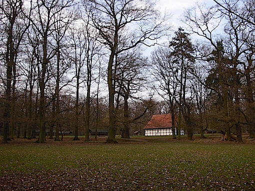 e0357367_26547.jpg