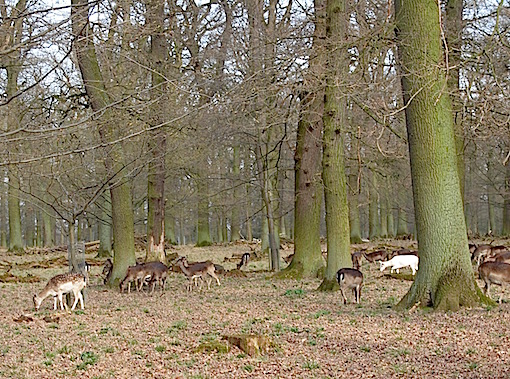 e0357367_26791.jpg