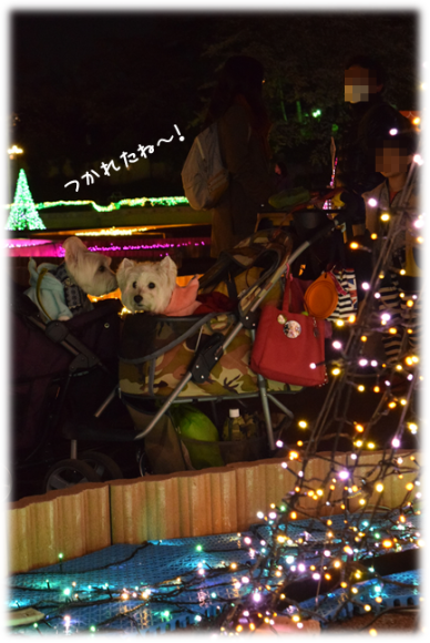 b0242873_10002046.png