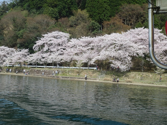 4月9日　　海津大崎へお花見に行きました。_b0336384_23440155.jpg