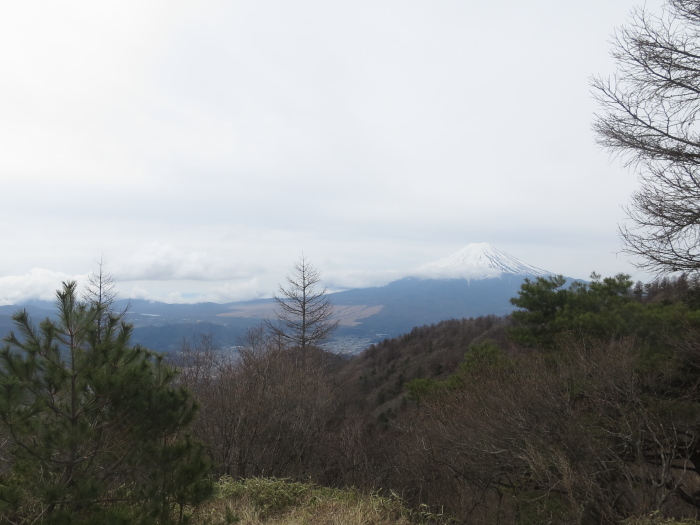 三ツ峠山　前編　開運山山頂へ_b0339488_17550814.jpg