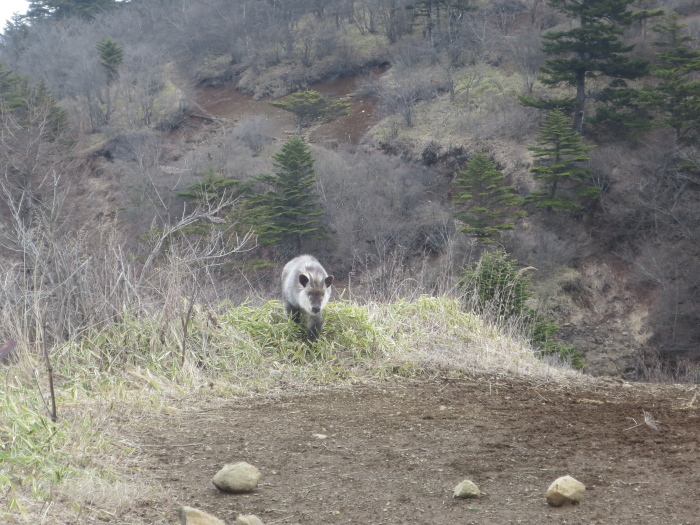 三ツ峠山　前編　開運山山頂へ_b0339488_17552154.jpg