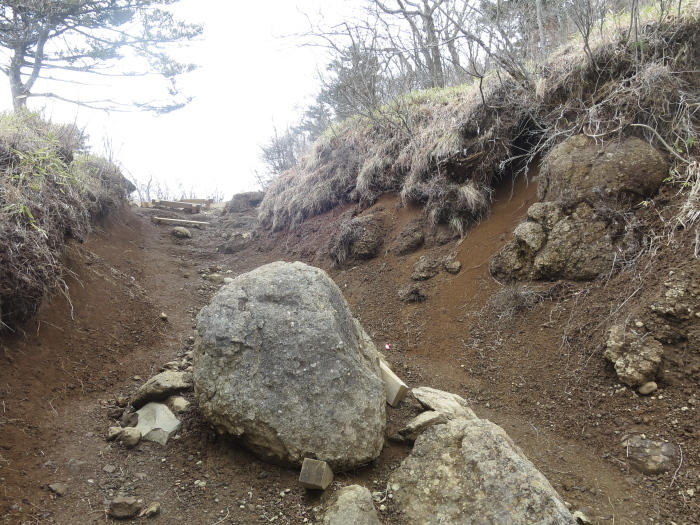 三ツ峠山　前編　開運山山頂へ_b0339488_17553224.jpg