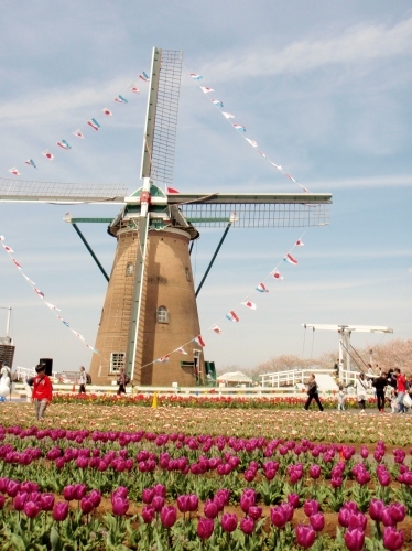 d0318191_21545463.jpg