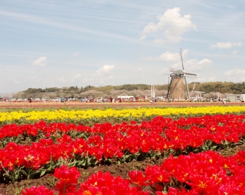 d0318191_22020780.jpg