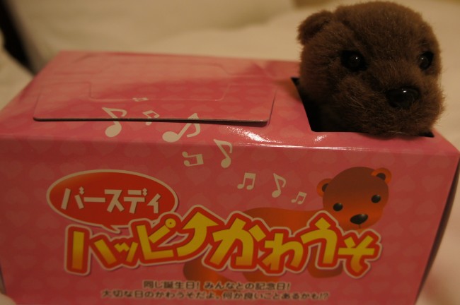 アクアトト ぎふの戦利品 Simoneは洋裁したり 読書したり 外食したり Simone Cus Llegeix I Menja Simone Sije Cita I Jede