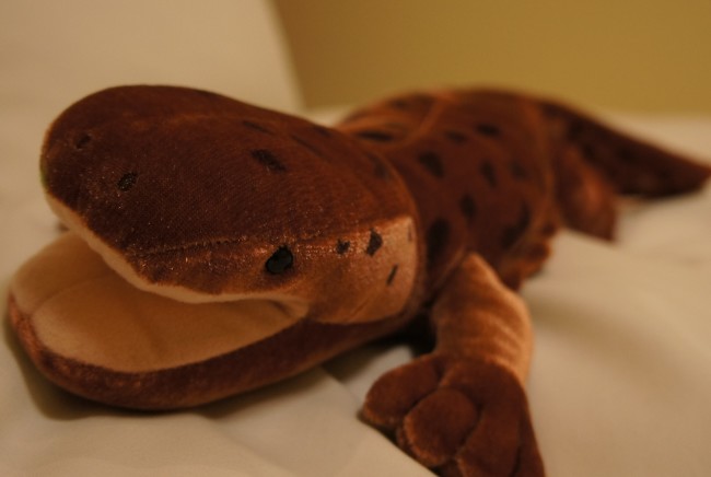 アクアトト ぎふの戦利品 Simoneは洋裁したり 読書したり 外食したり Simone Cus Llegeix I Menja Simone Sije Cita I Jede