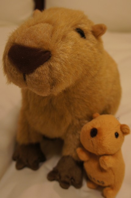 アクアトト ぎふの戦利品 Simoneは洋裁したり 読書したり 外食したり Simone Cus Llegeix I Menja Simone Sije Cita I Jede