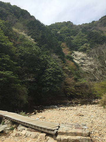 b0362900_1591433.jpg