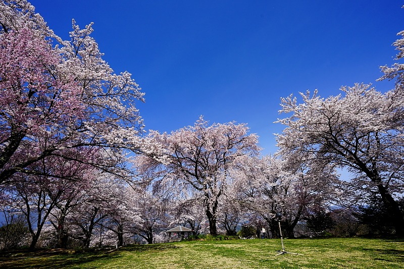 c0339900_7571721.jpg