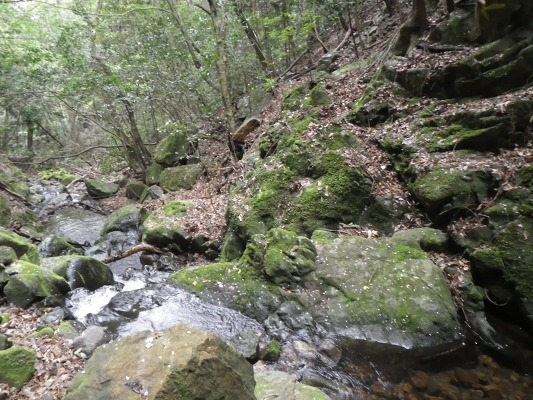 f0187402_21264035.jpg