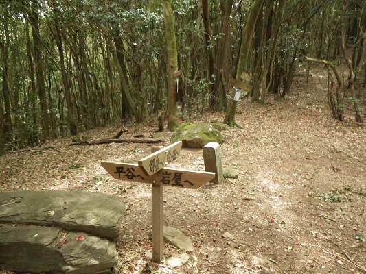 f0187402_21281745.jpg