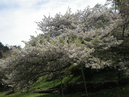 f0187402_21284821.jpg