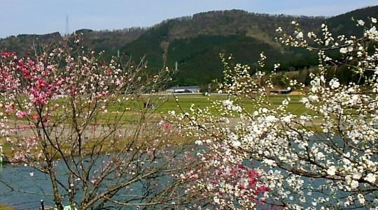 d0306603_03010280.jpg