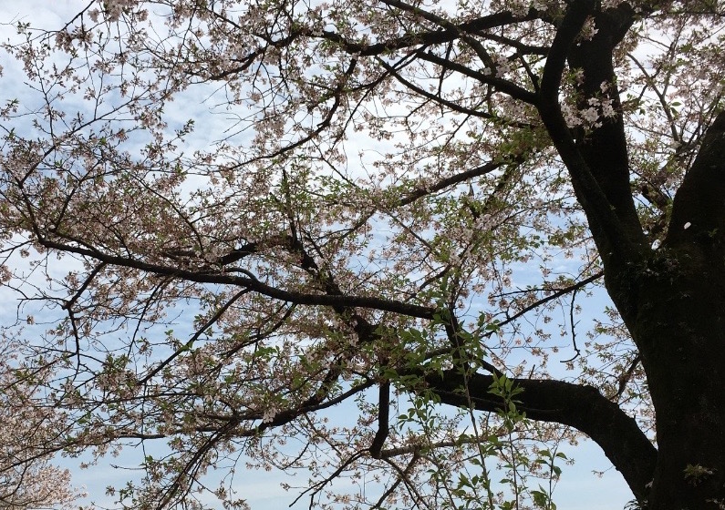 c0052304_2513657.jpg