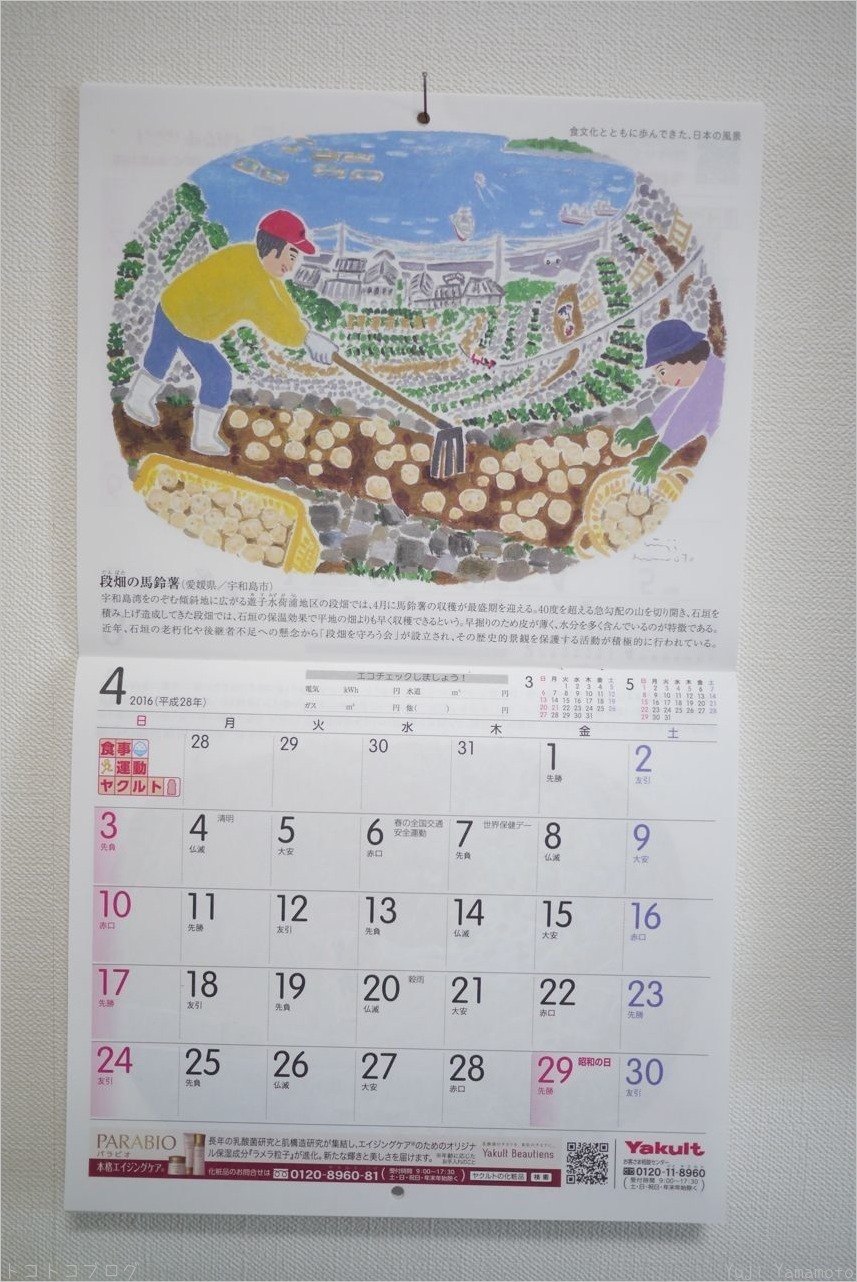 ヤクルトカレンダー２０１６年４月 トコトコブログ