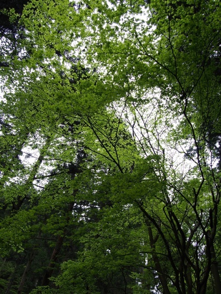 b0277008_22062901.jpg