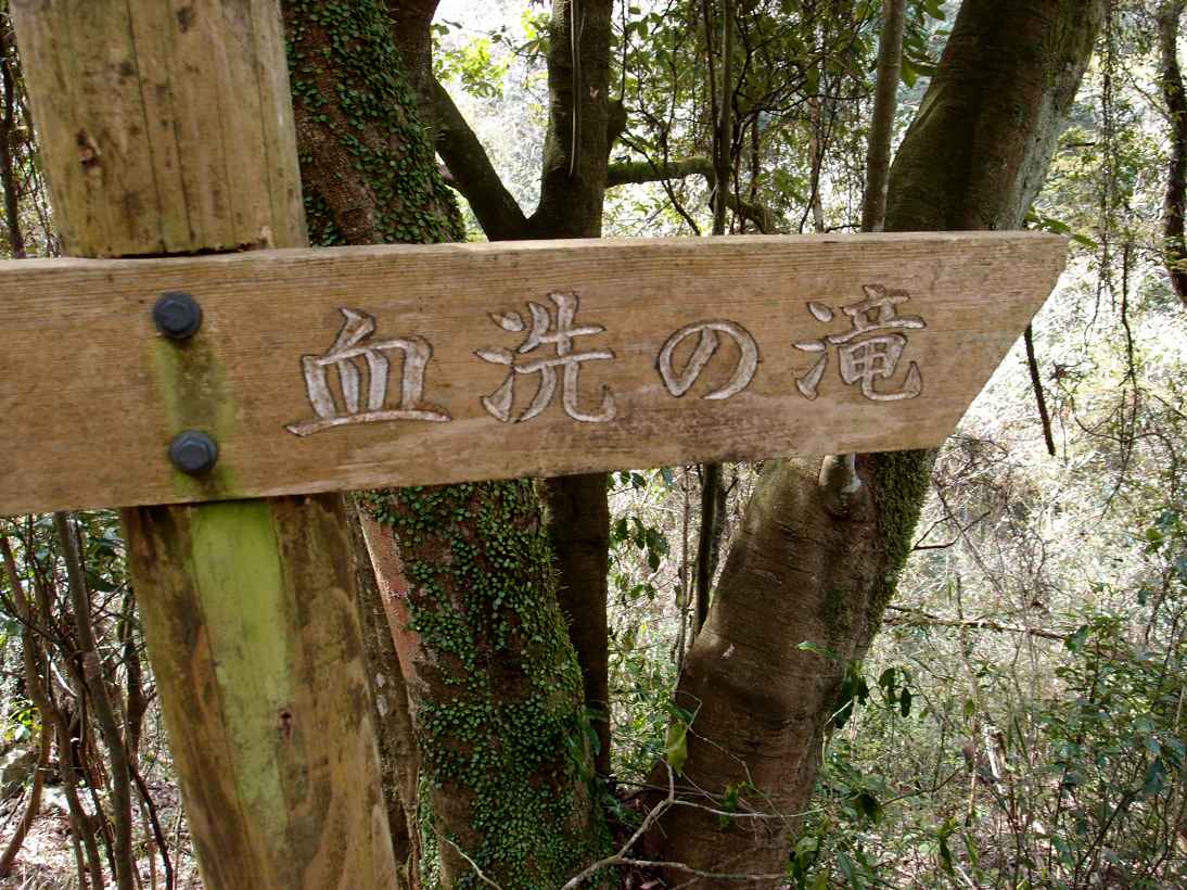 e0003910_1713132.jpg