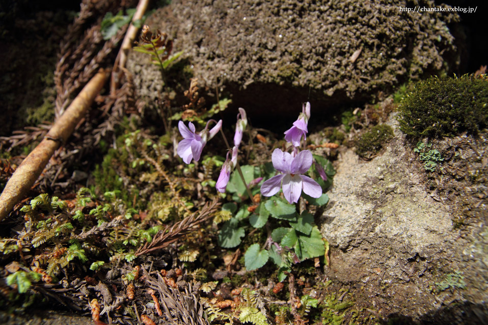 c0189013_783679.jpg