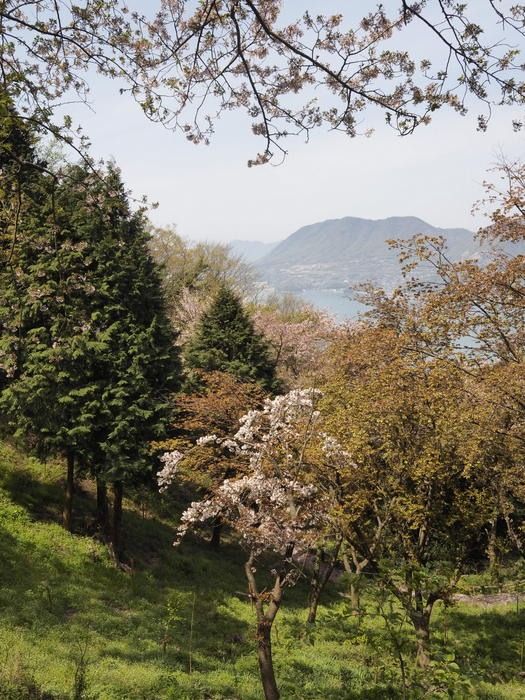 積善山 観桜登山 その２_c0116915_23361935.jpg