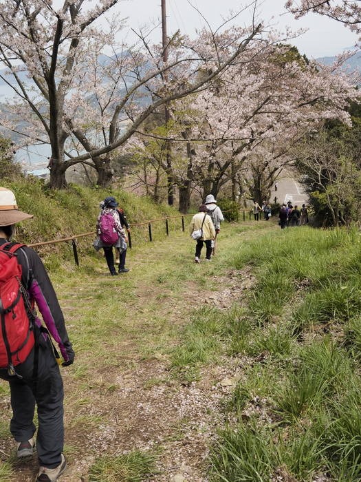 積善山 観桜登山 その２_c0116915_2354733.jpg