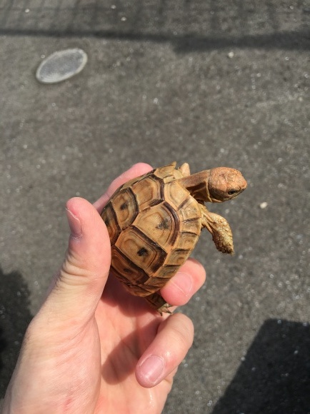 f0351616_01011724.jpeg