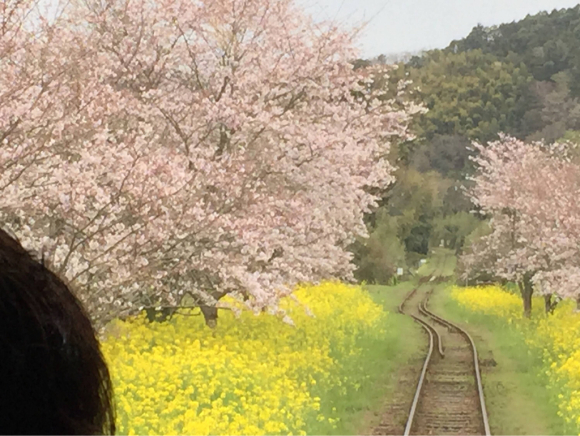 春旅@房総いすみ鉄道。_c0178917_15564641.jpg