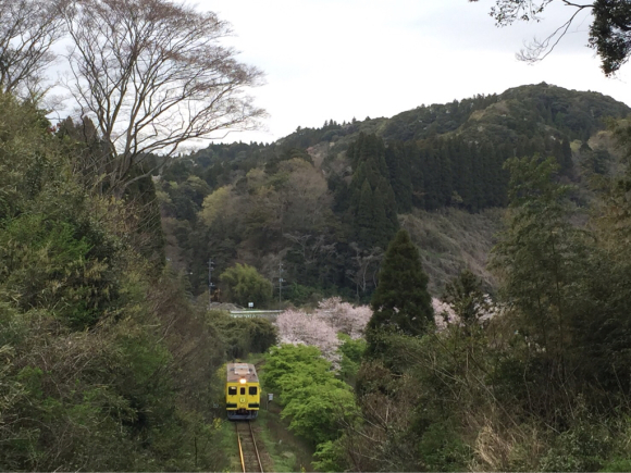 春旅@房総いすみ鉄道。_c0178917_17341582.jpg