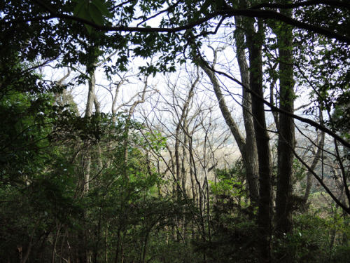 c0346119_13381789.jpg