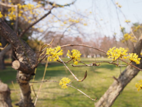 b0147224_2158217.jpg
