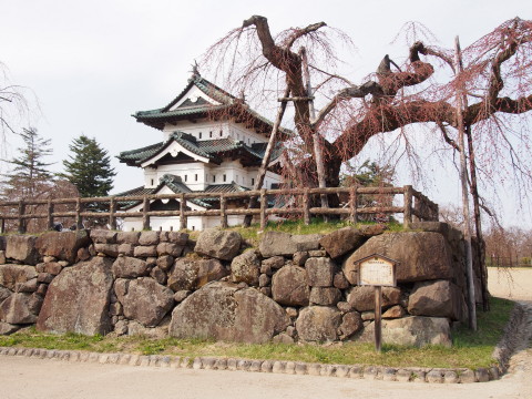b0147224_2212235.jpg