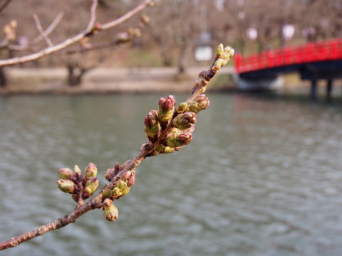 b0147224_2291390.jpg