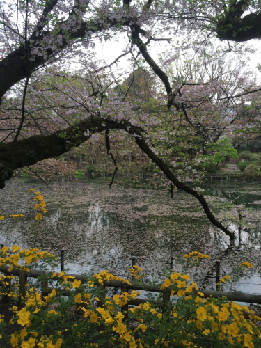 f0327534_12182201.jpg