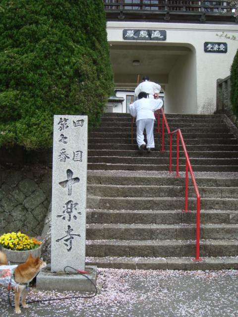 e0060041_136348.jpg