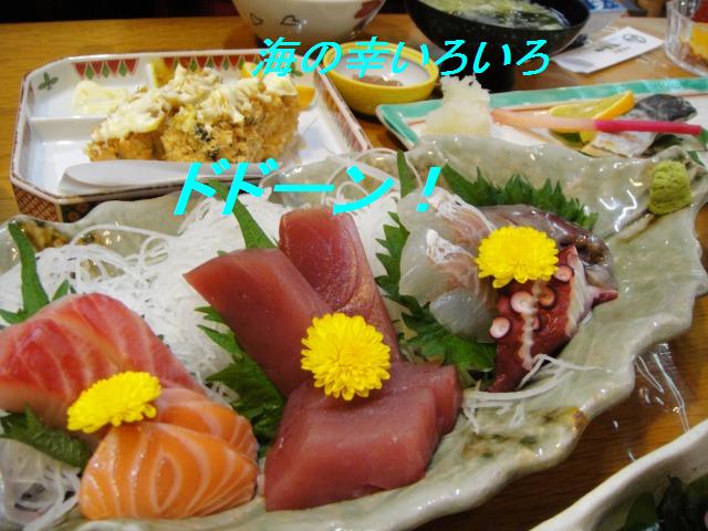 中部シェルオフ道中:御前崎_e0195743_12493595.jpg