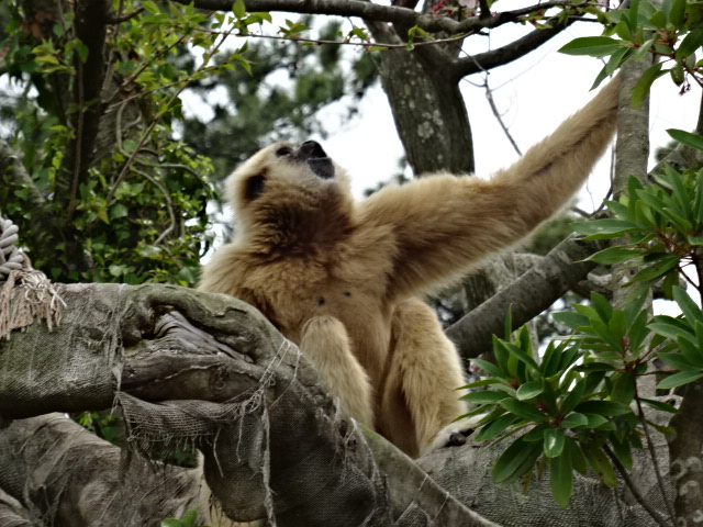 家族で公園へ_c0306845_1803144.jpg