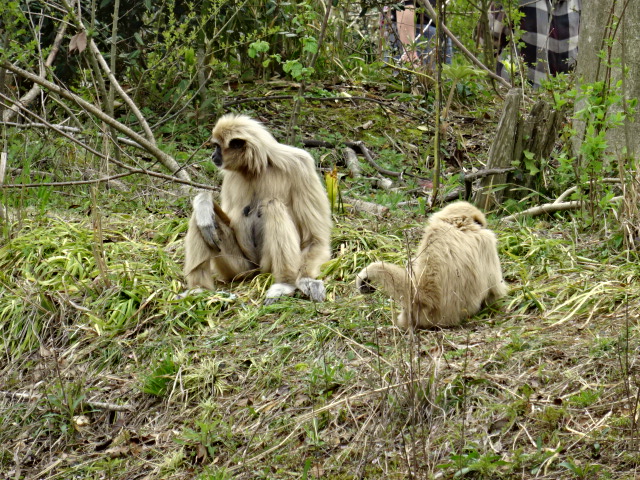 家族で公園へ_c0306845_1804582.jpg