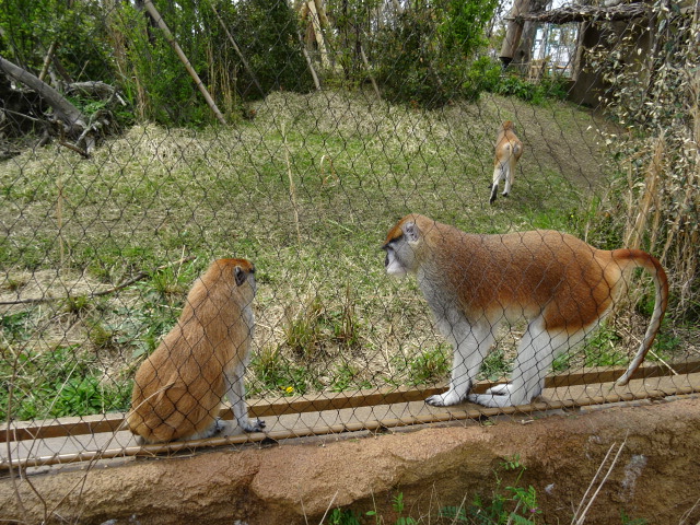 家族で公園へ_c0306845_1815690.jpg