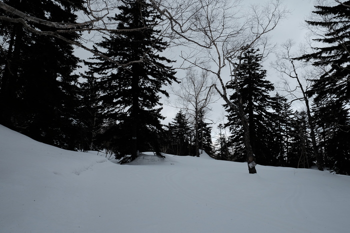 c0162846_109984.jpg