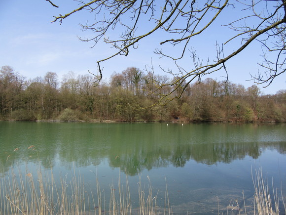 f0286647_119158.jpg