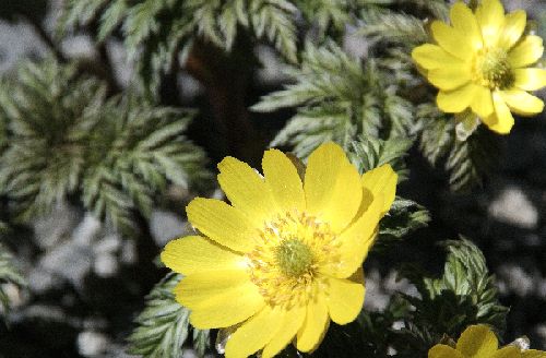 e0011951_14475621.jpg