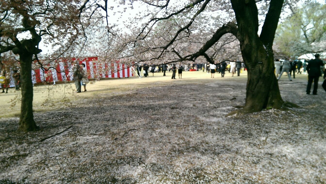 桜を見る会_e0181051_15292416.jpg