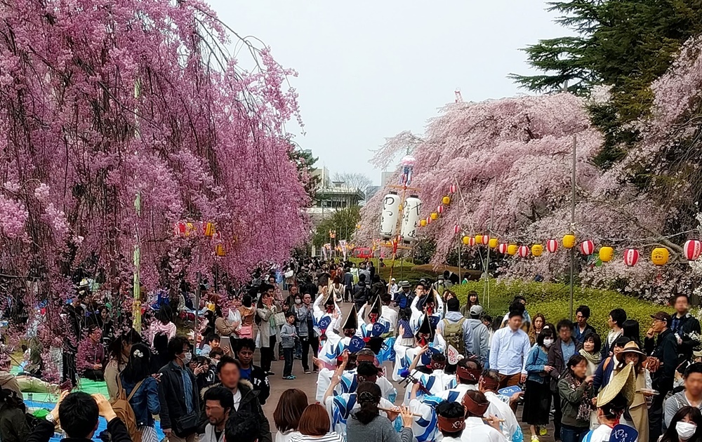 初登校前日の休息　～榴岡天満宮～_d0039059_21470367.jpg