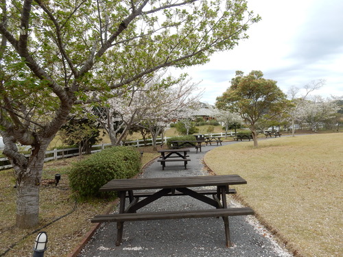 ’16,4,10(日)ブルーベリーヒルの桜と春真っ盛り!_f0060461_8532827.jpg
