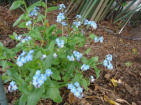 c0194163_1748137.jpg