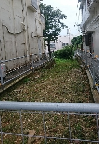 c0100865_08245996.jpg